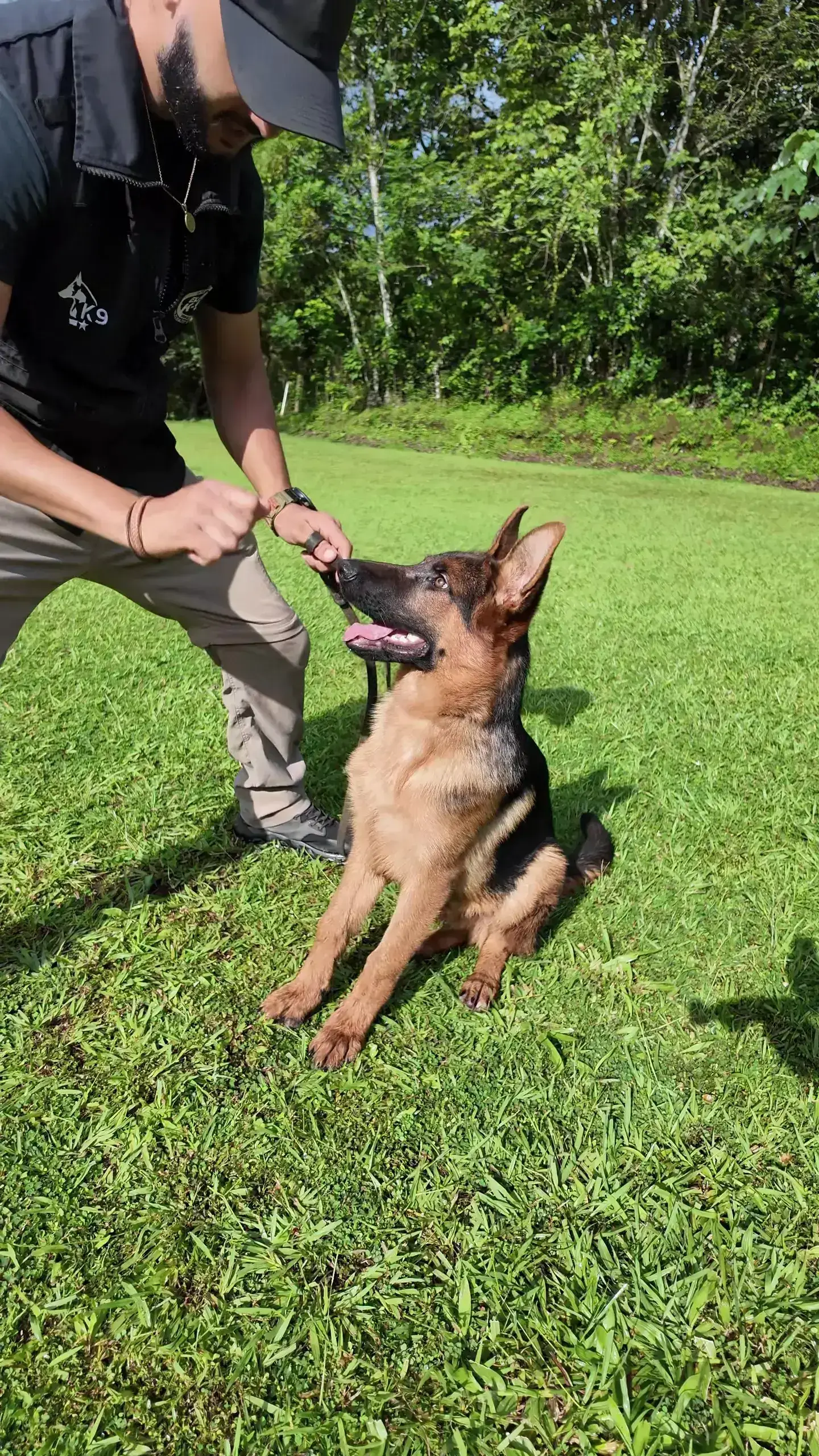 Apollo - Binomio canino de guardia y protección entrenado por Guerreros K9 Costa Rica